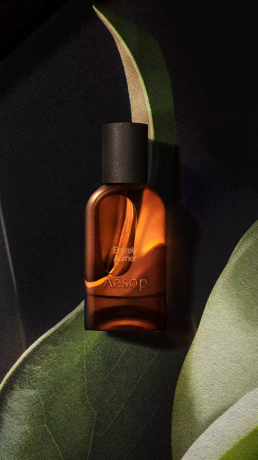 Aesop Entirely, Aurner Eau de Parfum bottle with black cap resting among large dark green tropical leaves.